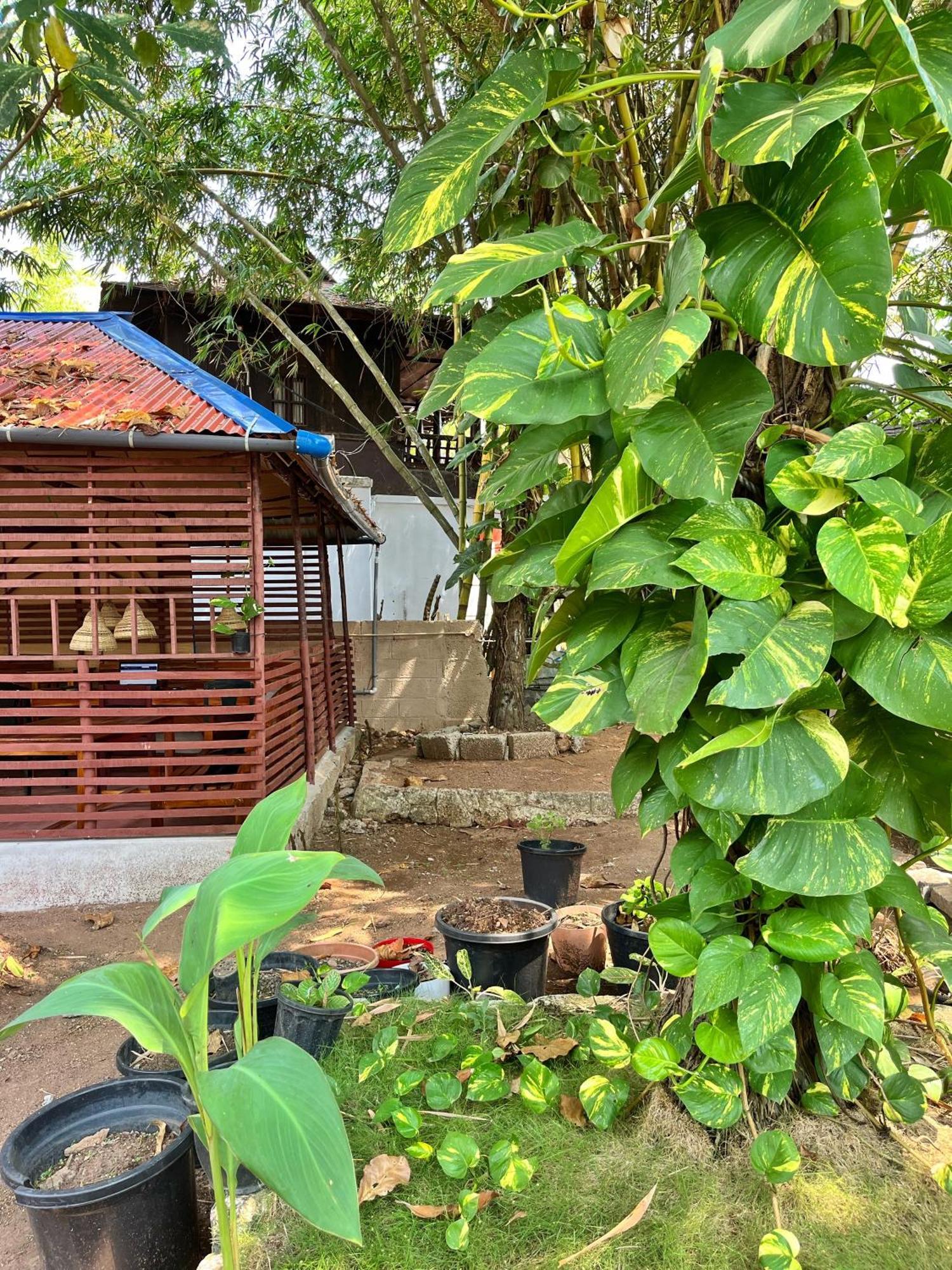 Bava Beach Resort & Retreat Center Varkala Dış mekan fotoğraf