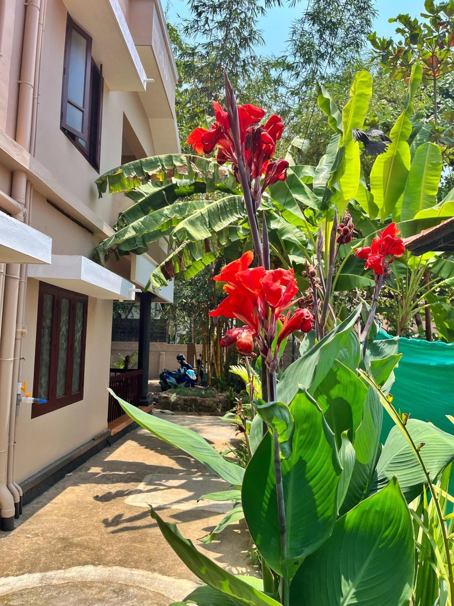 Bava Beach Resort & Retreat Center Varkala Dış mekan fotoğraf